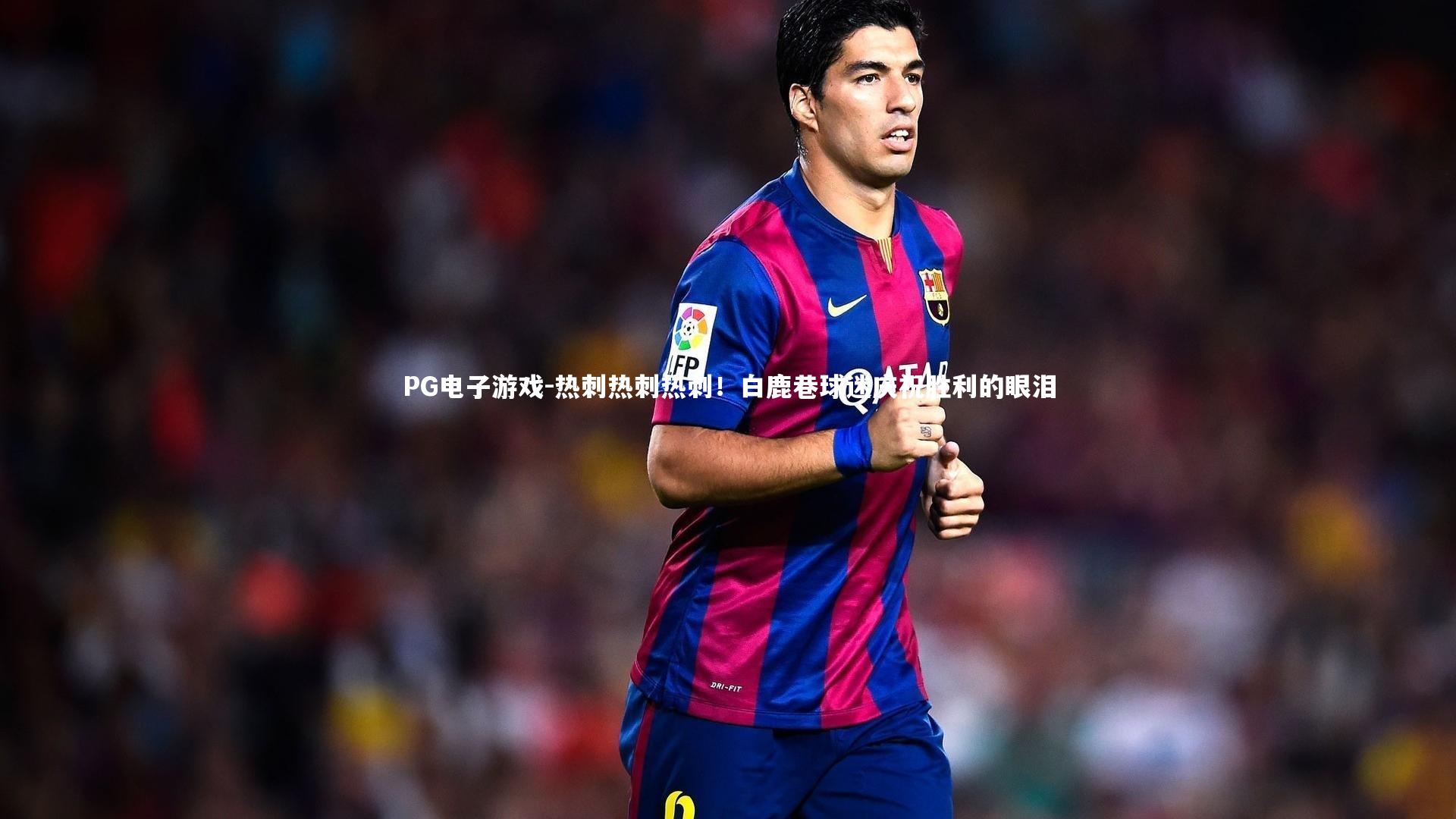 热刺热刺热刺！白鹿巷球迷庆祝胜利的眼泪