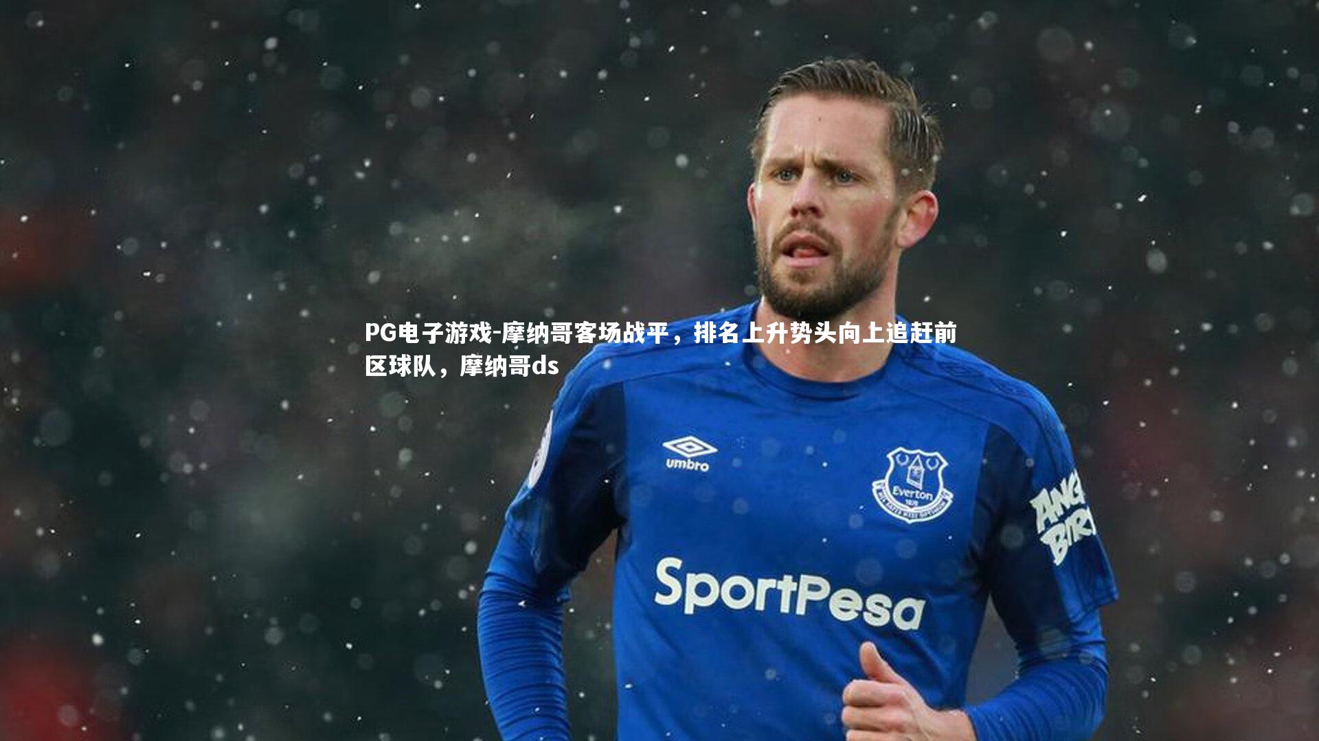 摩纳哥客场战平,排名上升势头向上追赶前区球队,摩纳哥ds